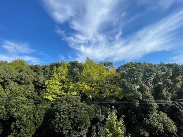 ザ・パークハビオSOHO代々木公園の物件内観写真